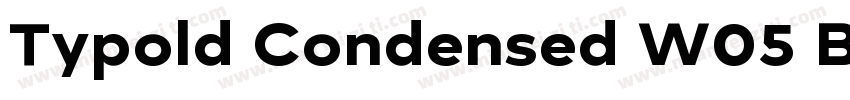 Typold Condensed W05 Black Regular字体转换